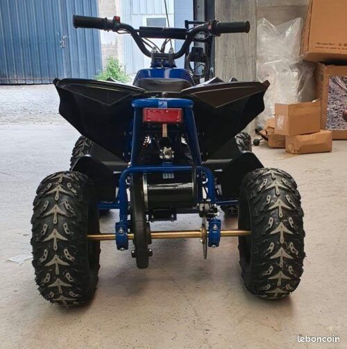 Quad Renegade 1000w - 4